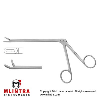Leminectomy Rongeur Up - Fenestrated and Serrated Jaws Stainless Steel, 15.5 cm - 6" Bite Size 6 x 16 mm